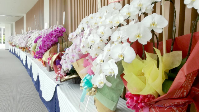 取引企業が上場決定 上場祝いの胡蝶蘭 フラワーギフトの贈り方 花助 ビジネスに花を