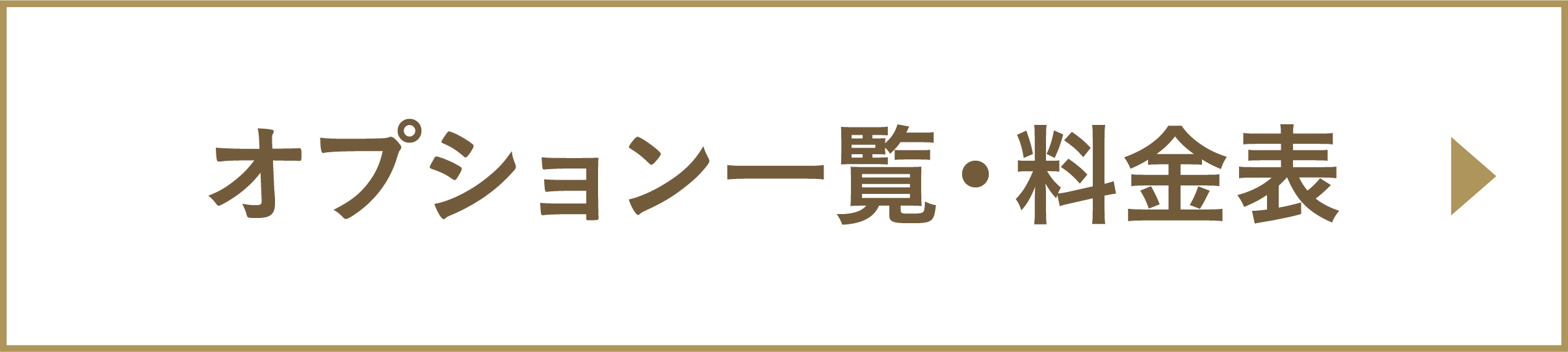 オプション一覧・料金表