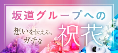 バナー: 坂道グループ