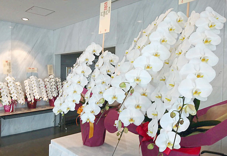 オフィス移転祝いに贈る 定番フラワーギフト と ワンランク上の新ギフト 祝花の花助 贈答用の花の選び方やマナーをご紹介
