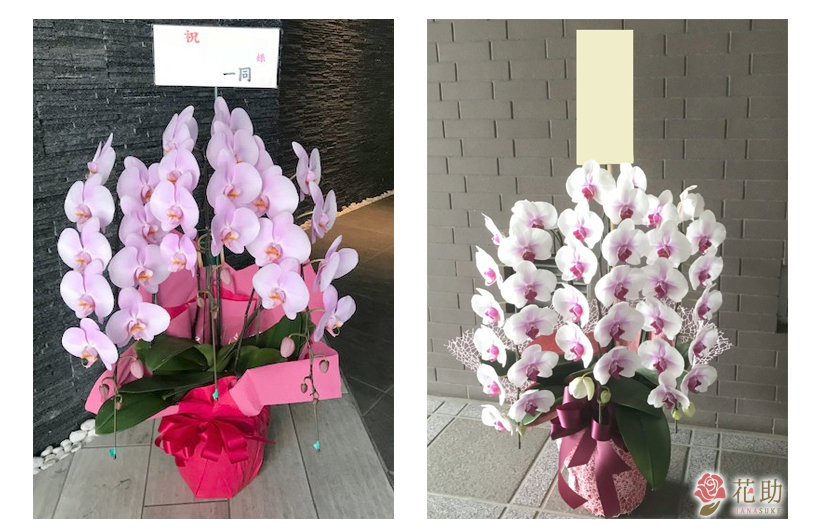 医療関係者や医師仲間から贈る 開院祝い花 選び方とマナー 祝花の花助 贈答用の花の選び方やマナーをご紹介