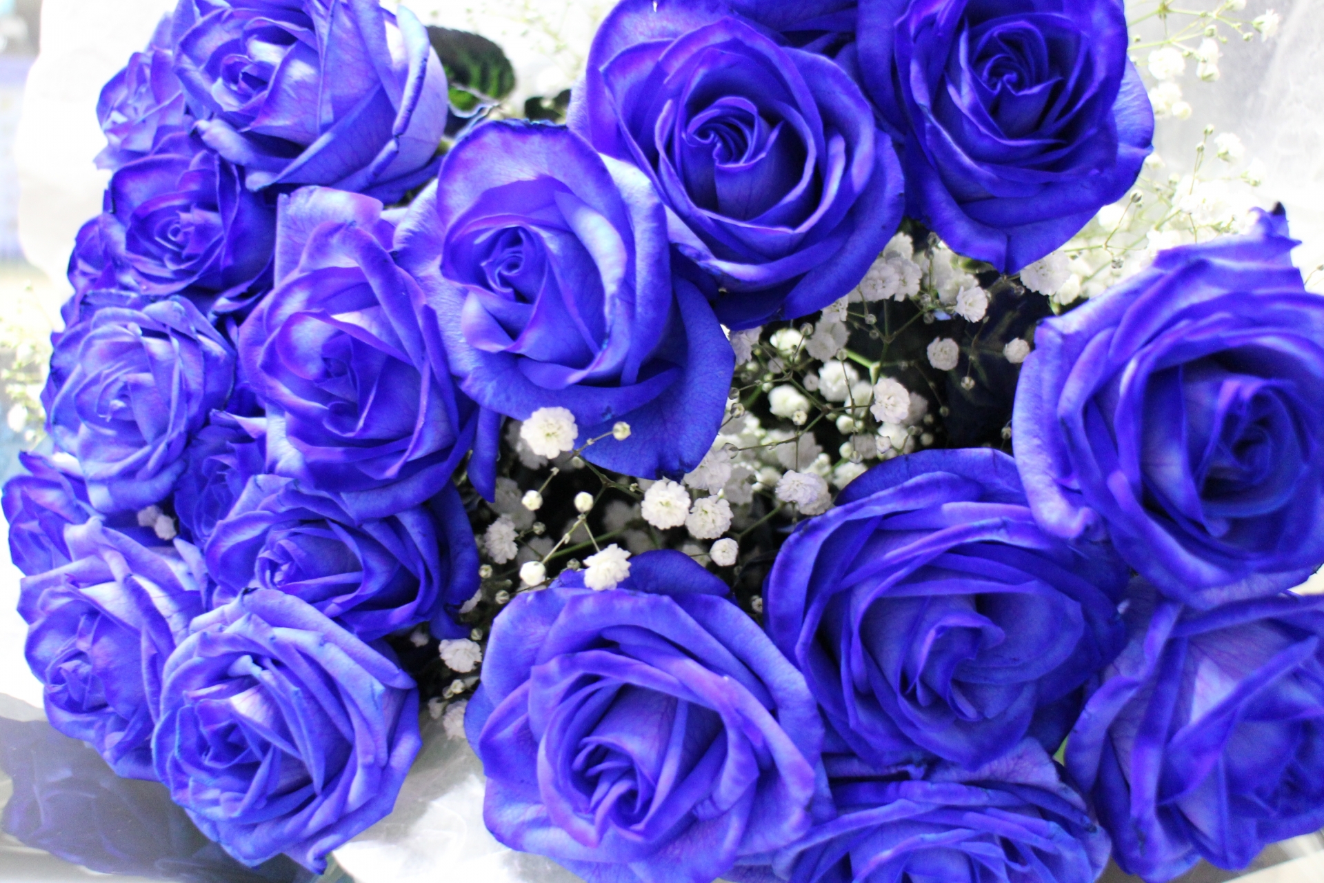 開店祝い 公演祝いへ贈る 青バラ入りフラワーギフト おすすめ３選 祝花の花助 贈答用の花の選び方やマナーをご紹介