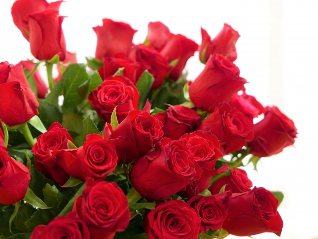 クリスマスに贈りたいフラワーギフトと定番の花材 祝花の花助 贈答用の花の選び方やマナーをご紹介