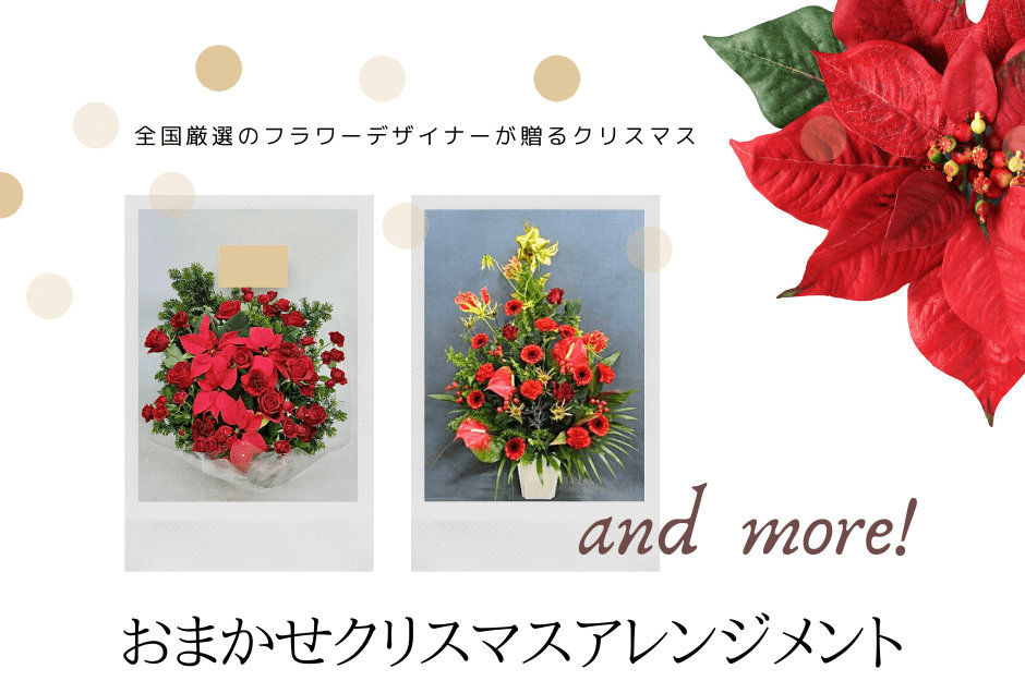 クリスマスに贈りたいフラワーギフトと定番の花材 祝花の花助 贈答用の花の選び方やマナーをご紹介