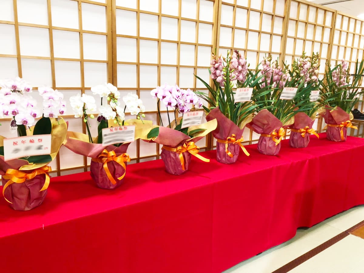 WishFlowers事例紹介: イベント用花鉢：催事に来客されるお客様にお持たせできるよう、全ての祝花を蘭鉢に指定【ウィッシュフラワー】